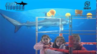 DIA 2 Expo Tiburon86