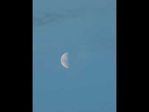 PSY-TRANCE - Måneskin - Beggin'(remix)