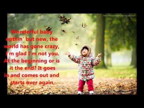 Wonderful Baby - Don McLean
