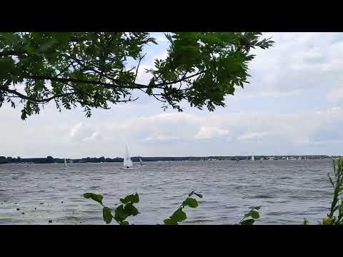 Windsurfers & Sailboats on Zegrze Reservoir | Jezioro Zegrzyńskie | Zalew Zegrzyński #4k #surfing