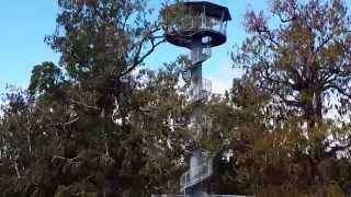 preview picture of video 'West Coast Treetop Walkway, Tower. Part 3.'