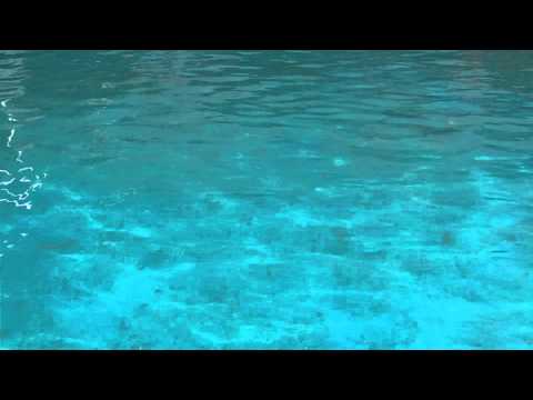 Water in a pool - Footage Tripod