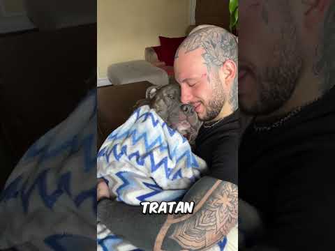 Tienes a tu perrito al lado? Pues dile que acaba de obtener más derechos que tú