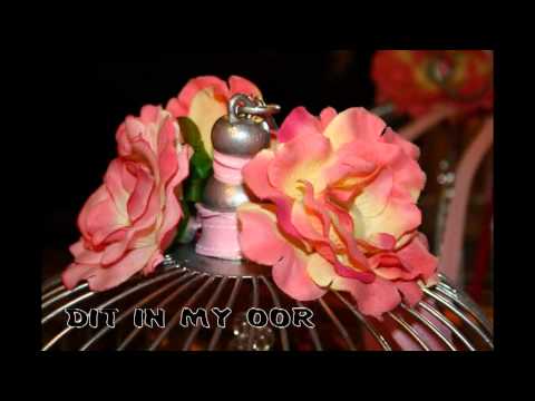 Mathys Roets - Fluister