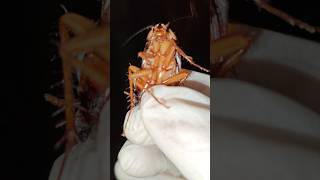 Download lagu Kamu Teman Saya Sekarang mp3