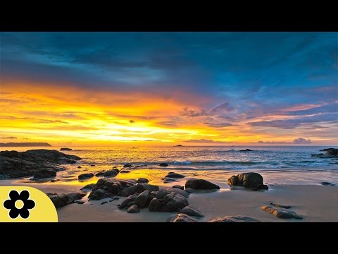 8 Hour Deep Sleep Music, Peaceful Music, Relaxing, Meditation Music, Sleep Meditation Music, ✿2987C