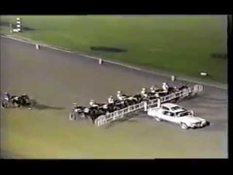1994 Yonkers Raceway BULLVILLE VICTORY Yonkers Trot Final