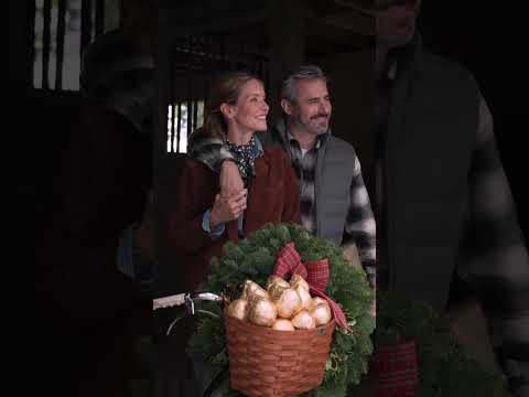 Harry & David Holiday Collection 2025