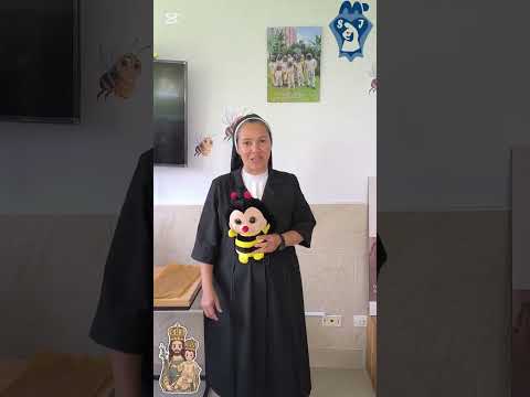 Guardianas de las abejas - Hogar San José de la Montaña - Sabaneta - Antioquía