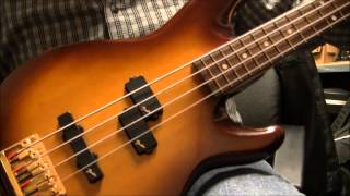 Video thumbnail for Fender Precision Bass Lyte by Sam Pedneau