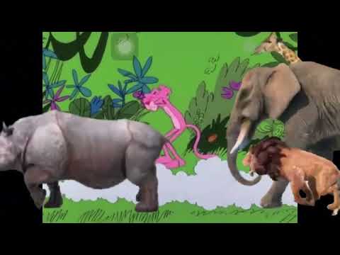 Animals stampede pink