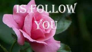 Like A Rose-Azn Dreamers