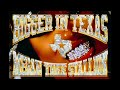 Megan Thee Stallion Bigger In Texas INSTRUMENTAL