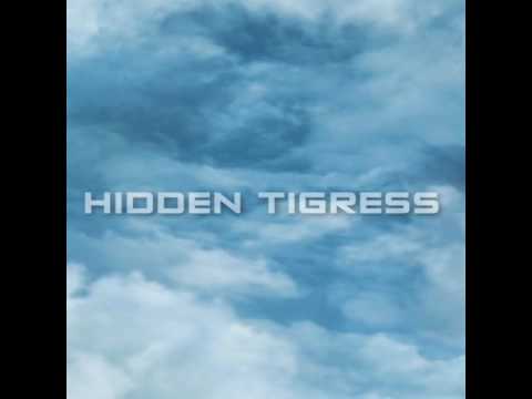 T-NG Feat. Hidden Tigress - ETERNITY[Promo]