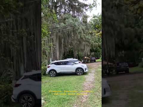 Pinchote, Santander, Colombia: Hacienda Santa Barbara.