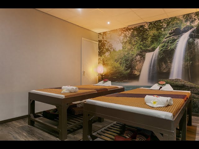 Youtube - Alisha Massage en Wellness