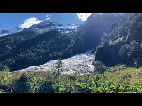 Sendero Ventisquero Yelcho - Chaitén, Región de Los Lagos