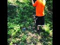 Shooting 223s in southern Illinois