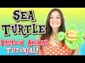 Sea Turtle Balloon Animal Tutorial! 