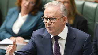 ‘No excuse’: Albanese government blasted for failing to warn Aussies before Iran strikes