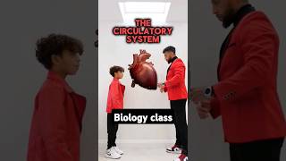 GCSE Biology - Circulatory System