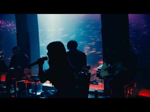 ヨルシカ Live「花人局 / 春泥棒」