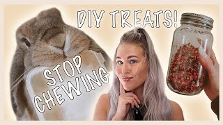 10 RABBIT LIFE HACKS that will change your life!