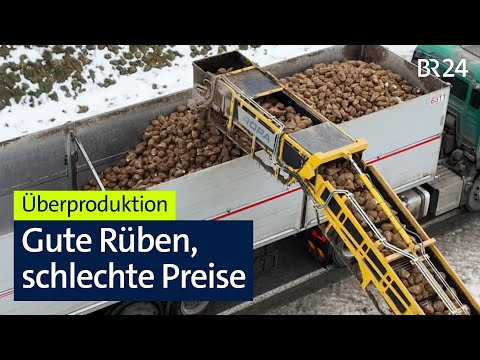 Zu viel Zucker: Nur Mindestpreis für Rübenbauer | Abendschau | BR24