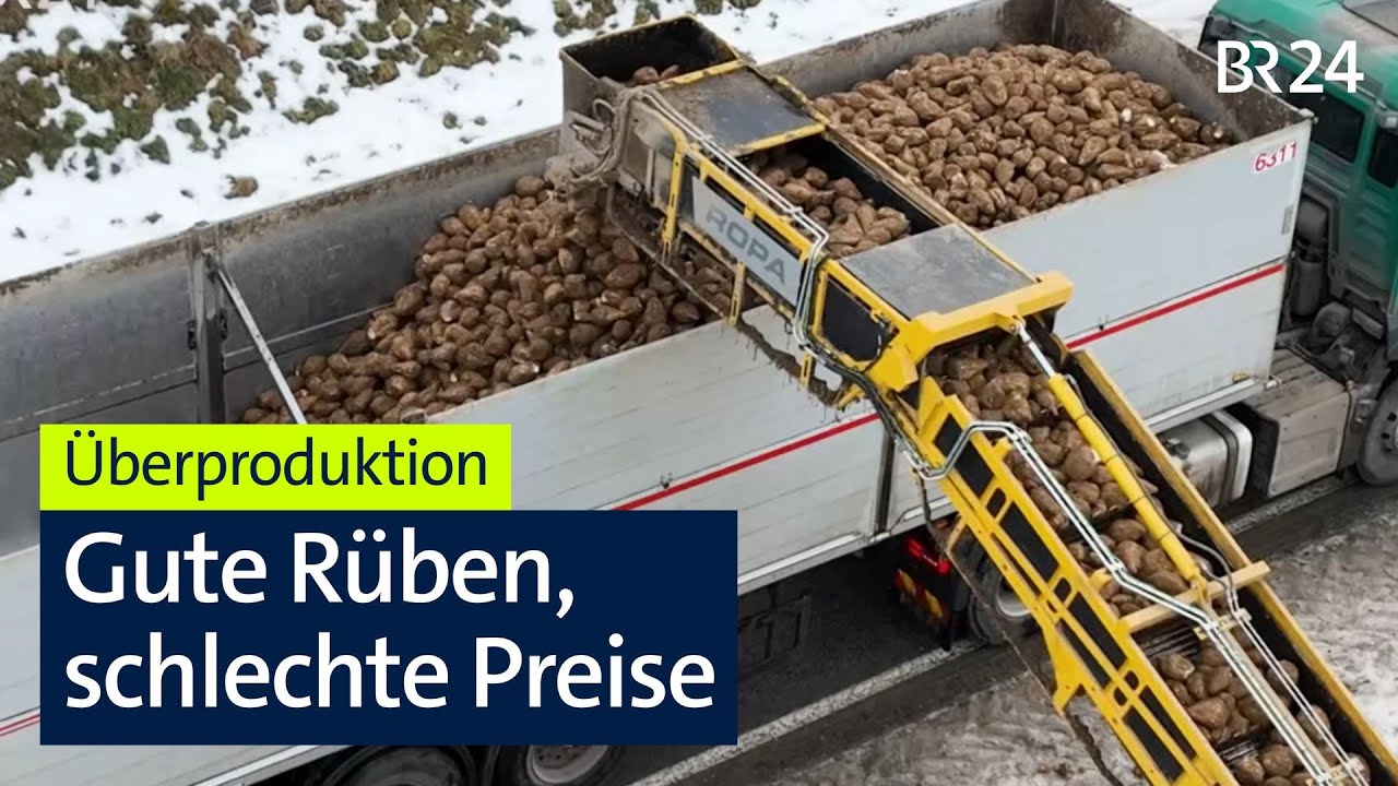 Zu viel Zucker: Nur Mindestpreis für Rübenbauer | Abendschau | BR24