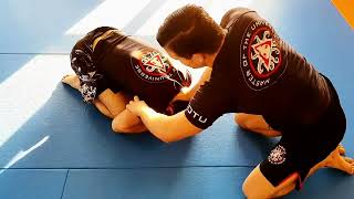 Anaconda Choke from Tortuga - BJJ Basics for MMA