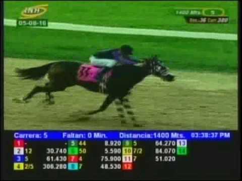 Resumen Viernes, 05 de Agosto de 2016 - Valencia