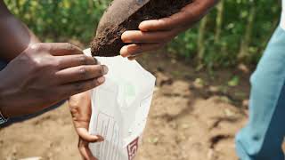 Techniques for Soil Testing and Forage Establishment