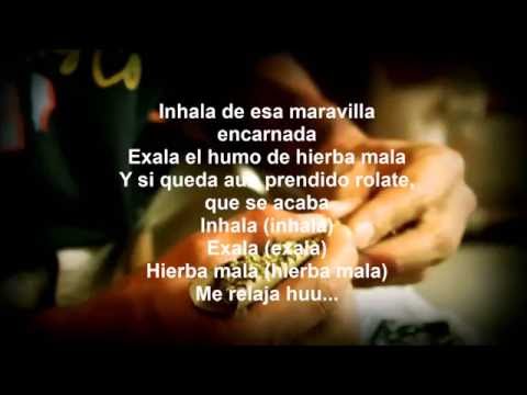download lagu mp3 mp4 Iluminatik Letras, download mp3 Iluminatik Letras free download mp3, download mp3 Iluminatik Letras