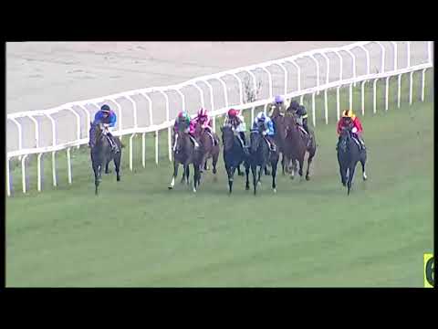 2025.10.19 Premio Gran Criterium (ITA) - Gaga Mate