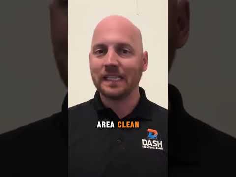 Dash project video