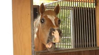 Haha, I bet you smiled!