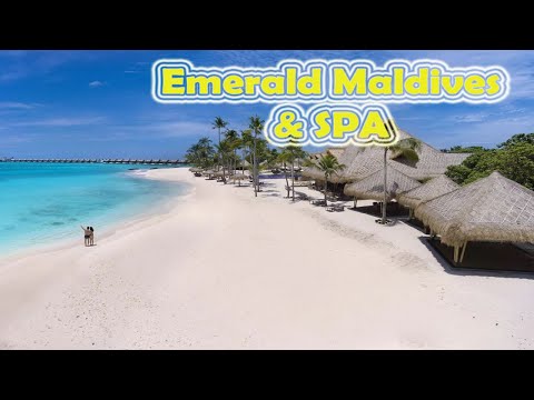 Videos del Emerald Maldives Resort  Spa 5★ en Raa Atoll, MaldivasVer MásVerPrecios19CerrarConsulta por Whatsapp 🇦🇷BookingTripadvisorExpediaAgodaTravelocityOrbitzTripSkyscannerDespegarKayakHotelesBestdayDestiniaTrivagoTurismocityLastminuteHotwireTuiWotif