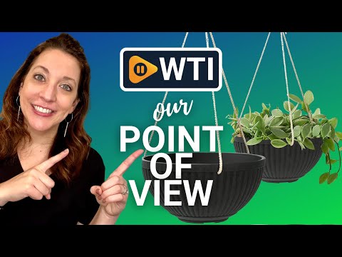 LaDoVita Hanging Planter - WTI product video review