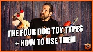 Video: 4 Toy Types and How to Use Them