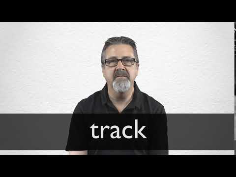 Bangla Meaning of Track