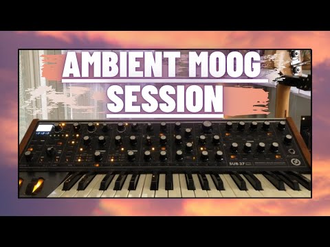 Moog Sub 37 Jam / Almec Beats Episode 20