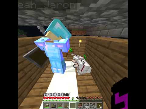 my dogs turned vegan on 1House SMP