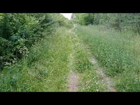 Alte A4 am Hörselberg bei Eisenach