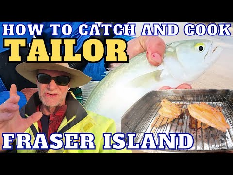 How To Catch and Cook TAILOR on Fraser Island  Catching Filleting Cooking fresh Tailor on the Beach