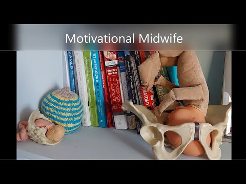 Antenatal care   abdominal examination