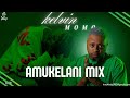 KELVIN MOMO AMUKELANI ALBUM MIX