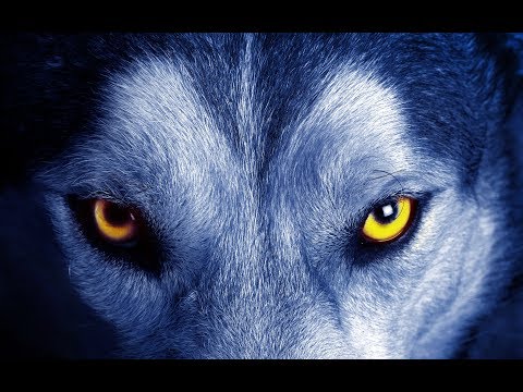 LECCIONES DE SUPERVIVENCIA EN LAS PALABRAS DE D. ARTURO PÉREZ-REVERTE.