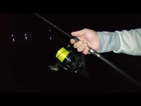 Big carp on Sapunari lake