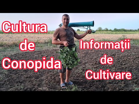 , title : 'Conopida are cerinte speciale informatii de cultivarea culturii de conopidă'