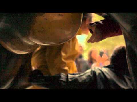 Charging Bull & Tourists